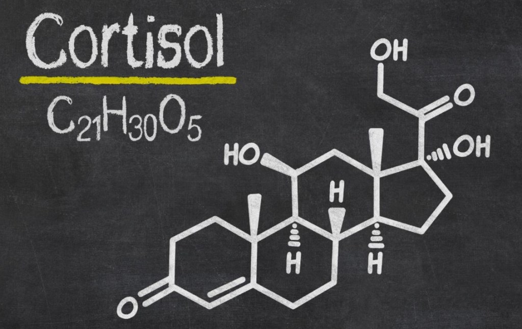 3 Foods categories for Low Cortisol&nbsp;Levels