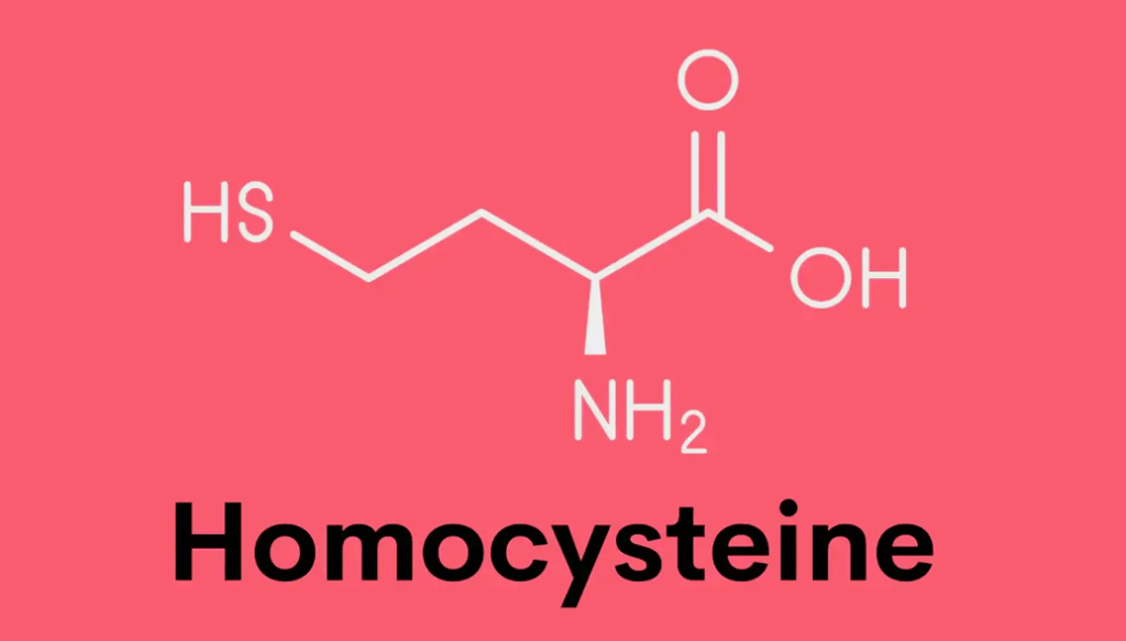 Increased Homocysteine, Coronary Heart Disease and&nbsp;Nutrition